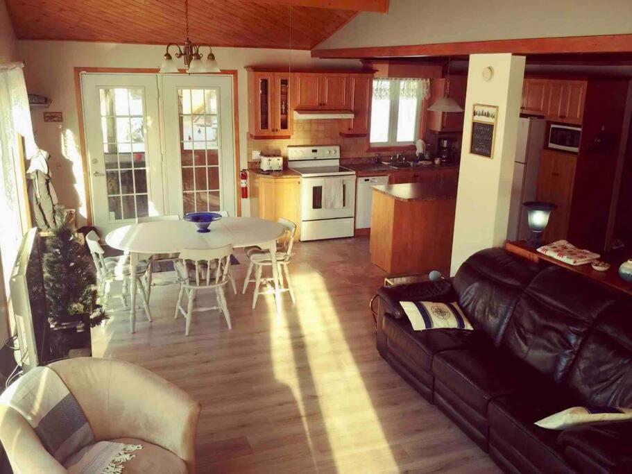 Le Chalet Bleu, Aux Pieds Des Monts-Valin Saint-David-de-Falardeau エクステリア 写真