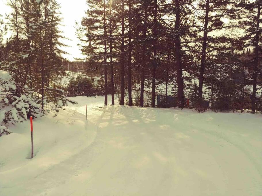 Le Chalet Bleu, Aux Pieds Des Monts-Valin Saint-David-de-Falardeau エクステリア 写真