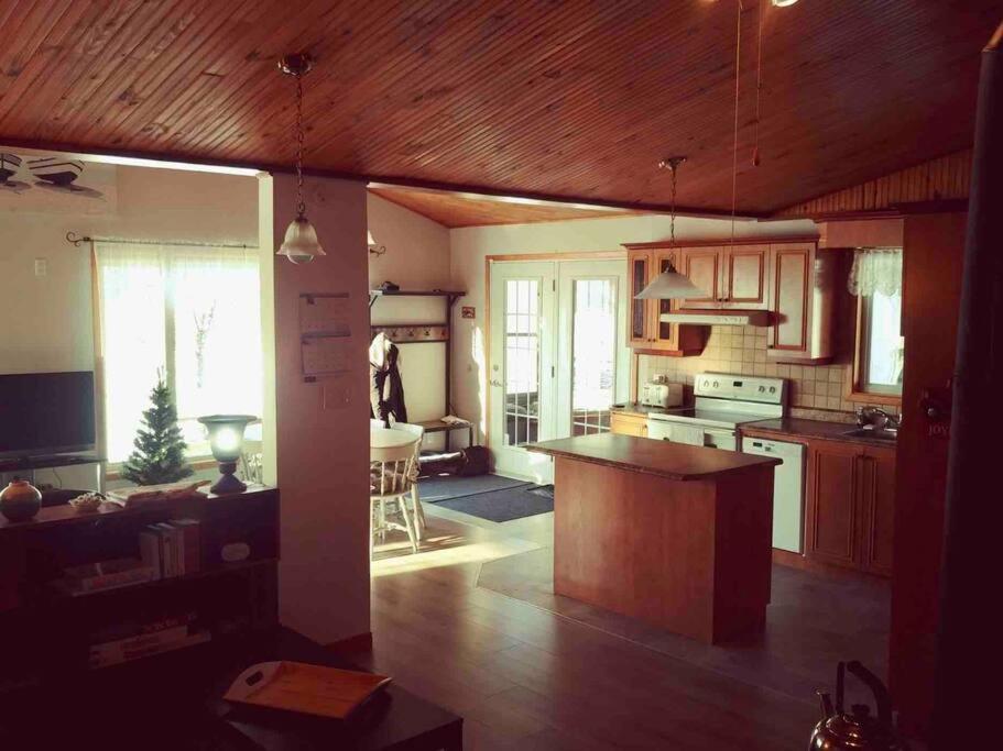 Le Chalet Bleu, Aux Pieds Des Monts-Valin Saint-David-de-Falardeau エクステリア 写真
